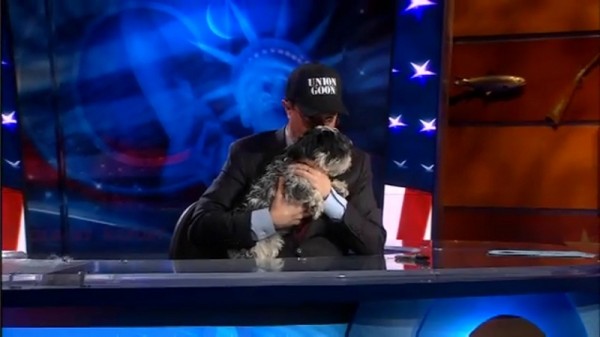 Stephen Colbert kisses the puppy