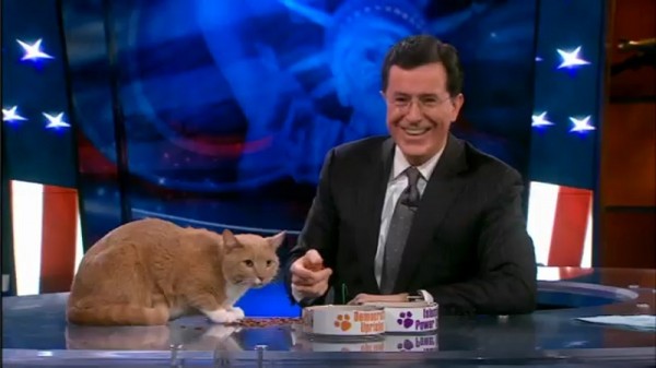 Feb02_2011_Amanpurr Stephen Colbert and Christiane Amanpurr