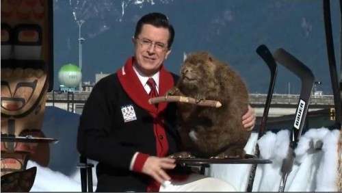 Beaver_Feb_22_2010