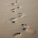 Footprints_reasonably_small Footprints_reasonably_small