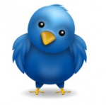 Twitter Bird Twitter Bird
