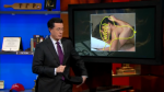Colbert Report - January 12, 2009 Colbert Report - January 12, 2009