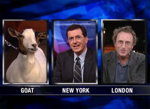 goat goat