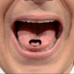 Stephen Colbert - December 7, 2009