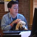 Riley the puppy and Stephen Colbert