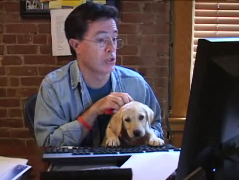 Riley the puppy and Stephen Colbert