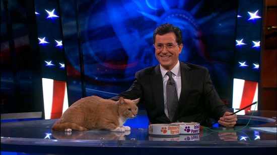 Colbert Report Middle East Expert Christiane Aman-purr Colbert Report Middle East Expert Christiane Aman-purr