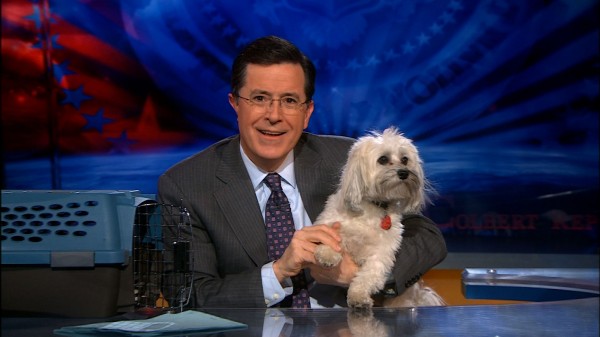 Oh my God. He is so tired. Stephen Colbert General Butterbean