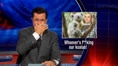 Why would anyone sleep with a koala? Afterwords, they're so clingy! Why would anyone sleep with a koala? Afterwords, they're so clingy!