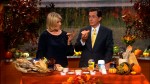 Martha Stewart and Stephen Colbert on the Colbert Report - November 10, 2010